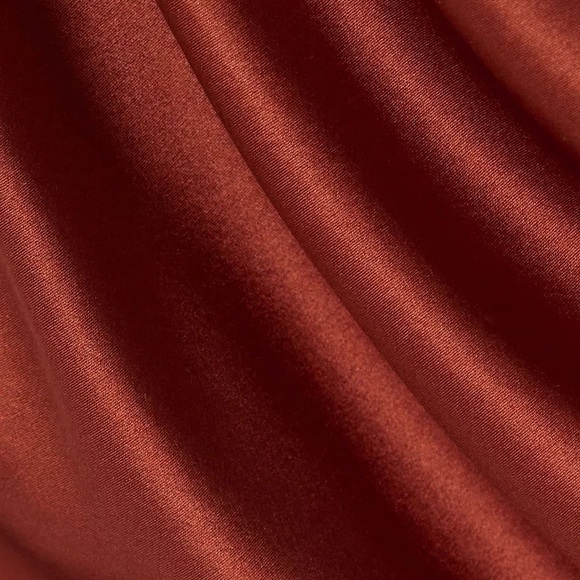 Reformation Annika Off-The-Shoulder Draped Silk-Charmeuse Top in Oxide - Picture 14 of 16